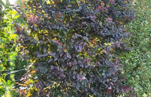 IMG-20230926-WA0016