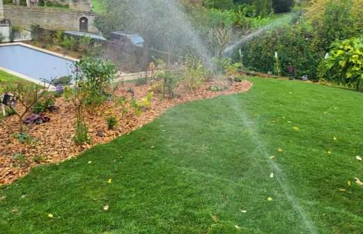IMG-20240201-WA0038